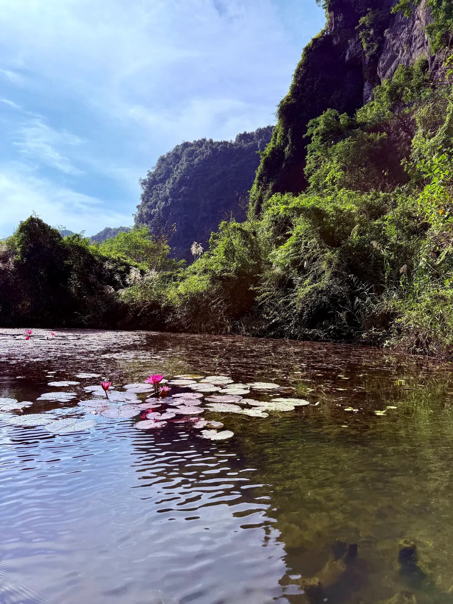 Đi Thật Bình Tĩnh — and the Power of Shared Experience